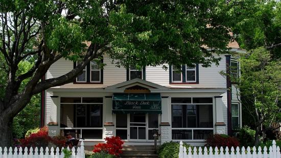 Black Duck Inn