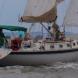 Blue Crab Chesapeake Charters in Rock Hall Maryland