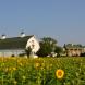 Inn at Huntingfield Creek in Rock Hall, Maryland