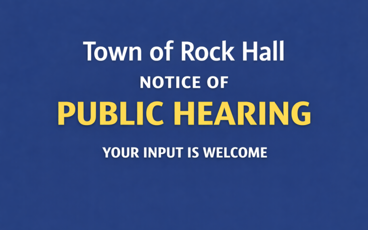Public Hearing